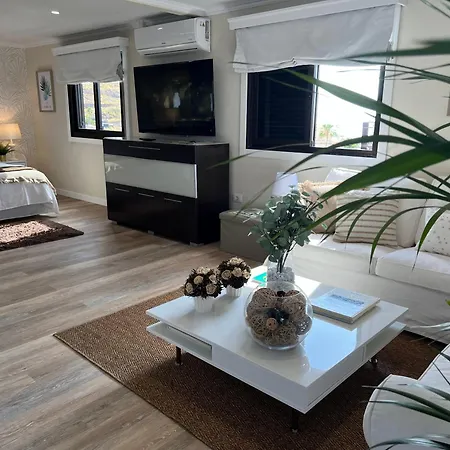 New Luxury Penthouse Mencey 아파트 산타크루스데 테네리페