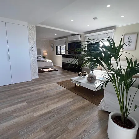 New Luxury Penthouse Mencey 아파트