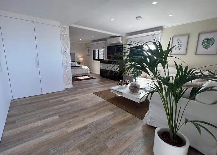 New Luxury Penthouse Mencey 아파트